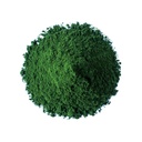 food-to-live-organic-algae-powder-mix-2--3.jpg