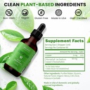 wellpath-chlorophyll-liquid-drops-with-c-3.jpg