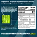 vegan-omega-3-gummies-1000mg-magnesium-s-2.jpg