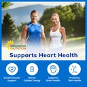 asquared-nutrition-coq10-200mg-60-capsul-6.jpg