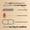 naturebell-creatine-monohydrate-capsules-4.jpg