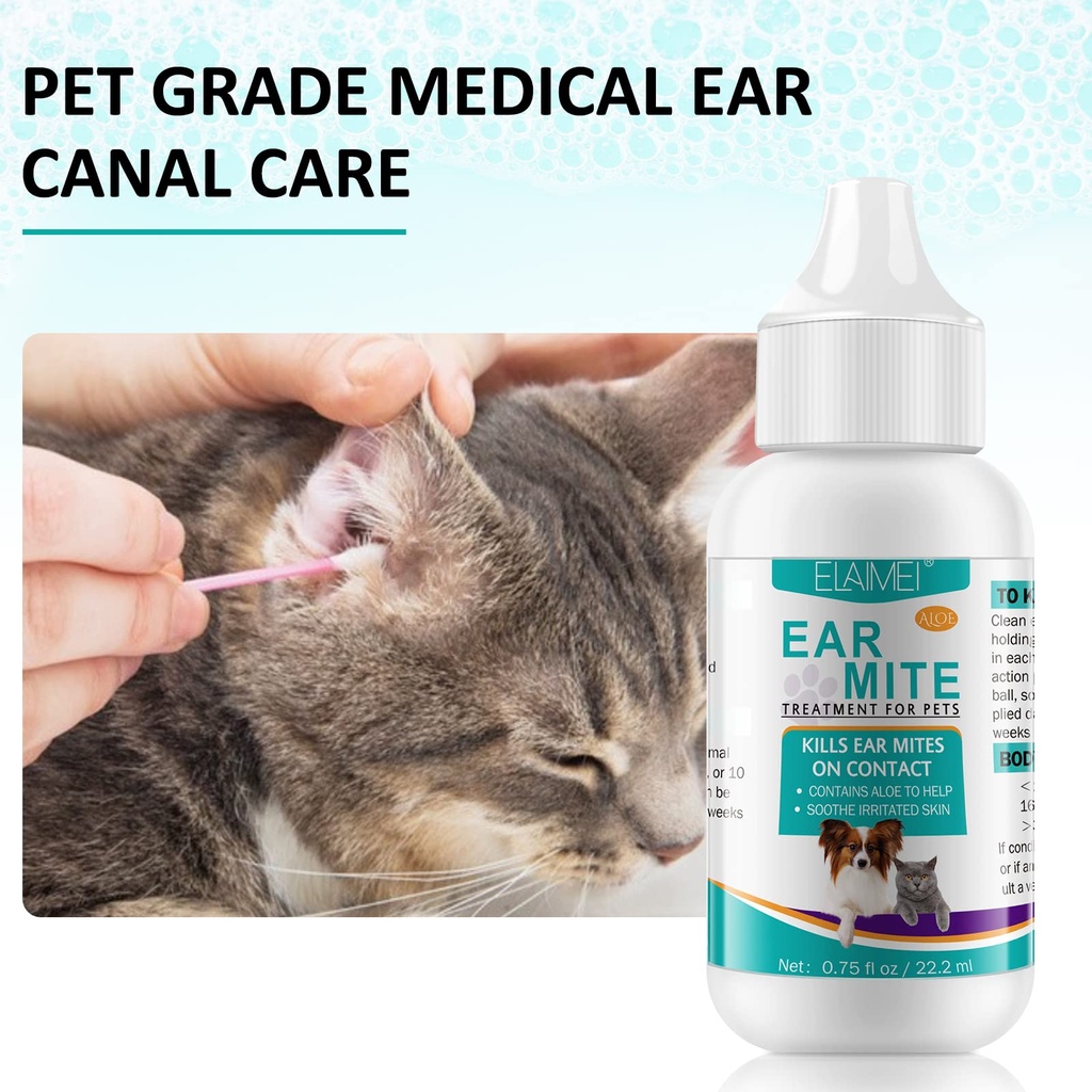 ear-mite-treatment-for-dogs-dog-ear-infe-2.jpg
