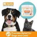 nootie-medicated-ear-finger-wipes-with-c-6.jpg