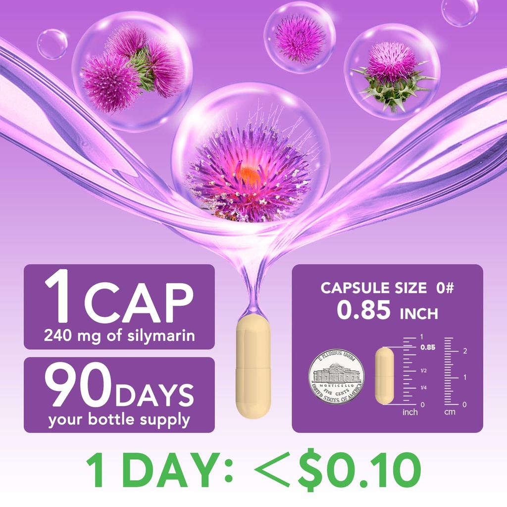 milk-thistle-300-mg-concentrated-seed-ex-3.jpg