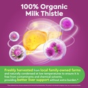 milk-thistle-concentrated-seed-extract-l-2.jpg