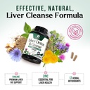 liver-cleanse-detox-repair-milk-thistle--6.jpg
