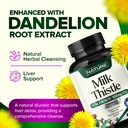 built-by-nature-milk-thistle-liver-detox-4.jpg