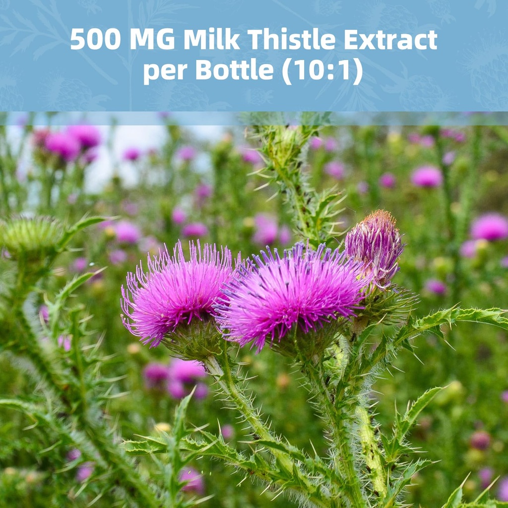 2-pack-milk-thistle-supplement-capsules--6.jpg
