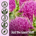 nature-s-answer-milk-thistle-seed-with-o-5.jpg
