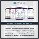 nootropics-depot-creatine-monohydrate-po-3.jpg