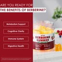 nextdia-2pack-berberine-supplement-gummi-4.jpg