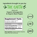 organic-ashwagandha-capsules-2100mg-stre-3.jpg
