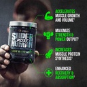 alpha-lion-superhuman-post-workout-recov-2.jpg