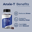 anxie-t-stress-relief-gummy-vitamin-supp-2.jpg