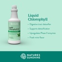 nature-s-sunshine-liquid-chlorophyll-ext-3.jpg