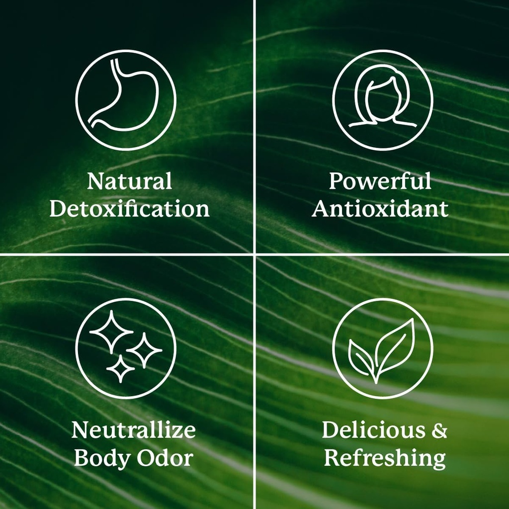 nature-s-sunshine-chlorophyll-stick-pack-5.jpg