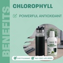 land-art-liquid-chlorophyll-mint-cold-ex-3.jpg