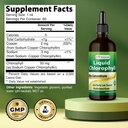 best-naturals-liquid-chlorophyll-drops-5-2.jpg