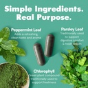 her-fantasy-box-body-magic-chlorophyll-p-2.jpg