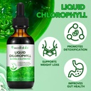 chlorophyll-liquid-drops-organic-liquid--3.jpg