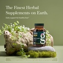 gaia-herbs-milk-thistle-liver-supplement-2.jpg