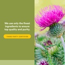natural-factors-herbalfactors-milk-thist-5.jpg