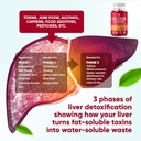 vv-naturals-liver-cleanse-detox-repair-s-2.jpg