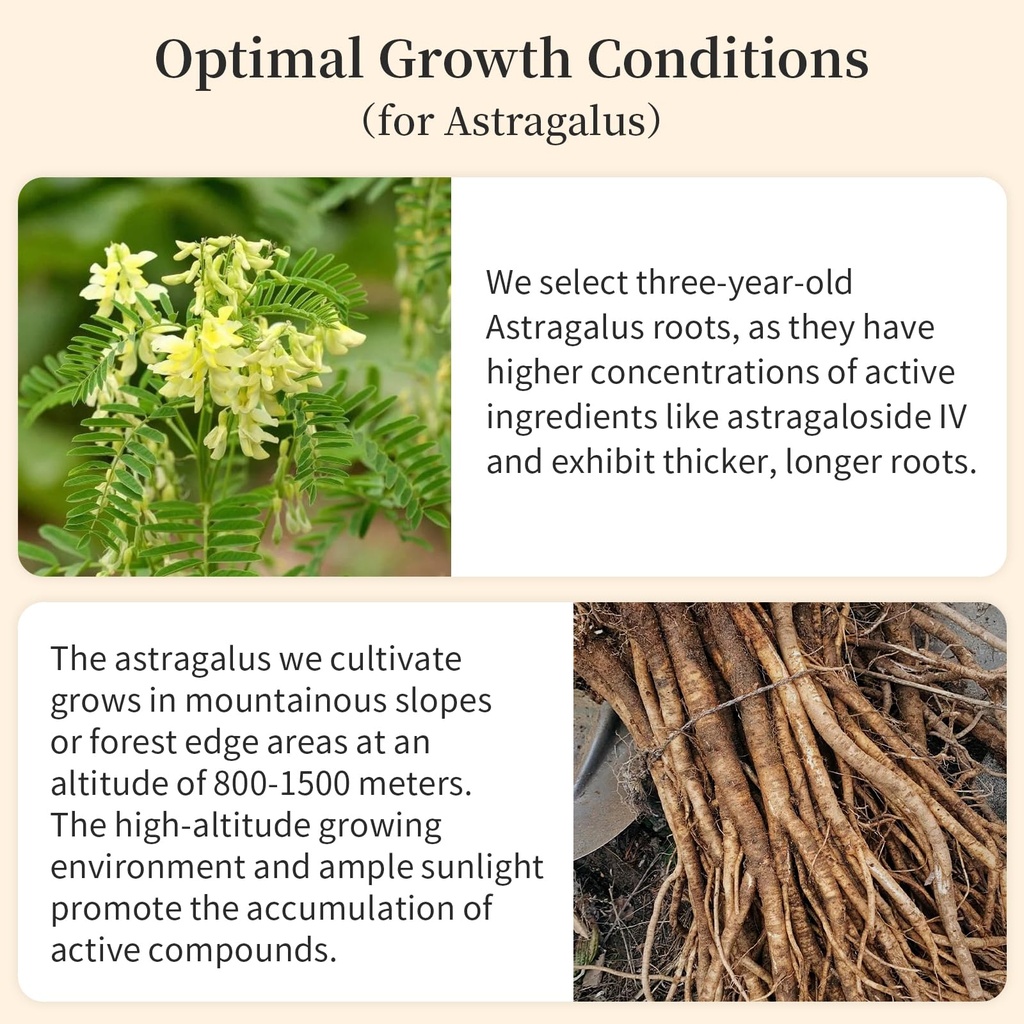 astragalus-root-slices-tea-huang-qi-prem-4.jpg