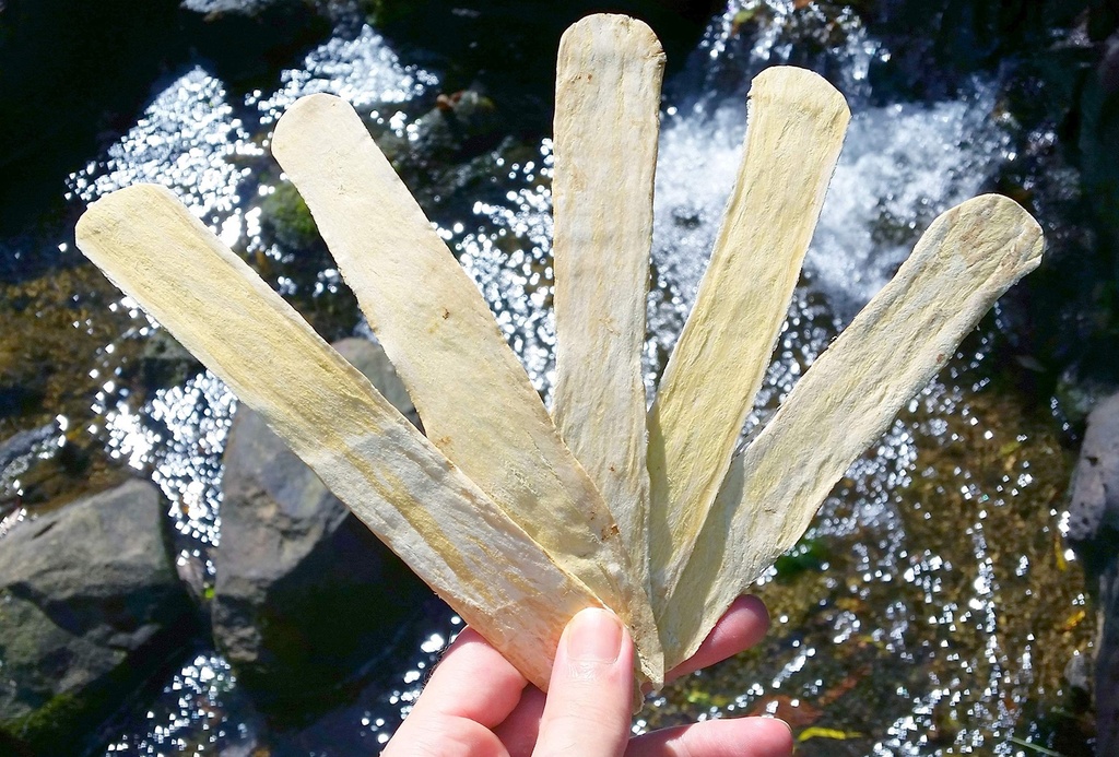 ginsengstoreandmore-astragalus-root-x-la-3.jpg