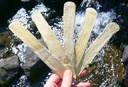 ginsengstoreandmore-astragalus-root-x-la-3.jpg