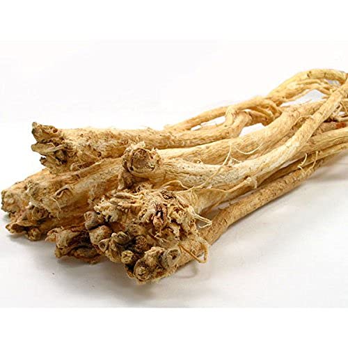 astragalus-root-huang-qi-astragalus-memb-3.jpg