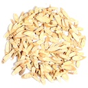 astragalus-root-milkvetch-huangqi-astrag-4.jpg