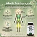pristine-s-astragalus-root-supplement-ca-6.jpg