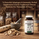 pristine-s-astragalus-root-supplement-ca-5.jpg