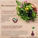 best-botanicals-astragalus-root-powder-1-5.jpg