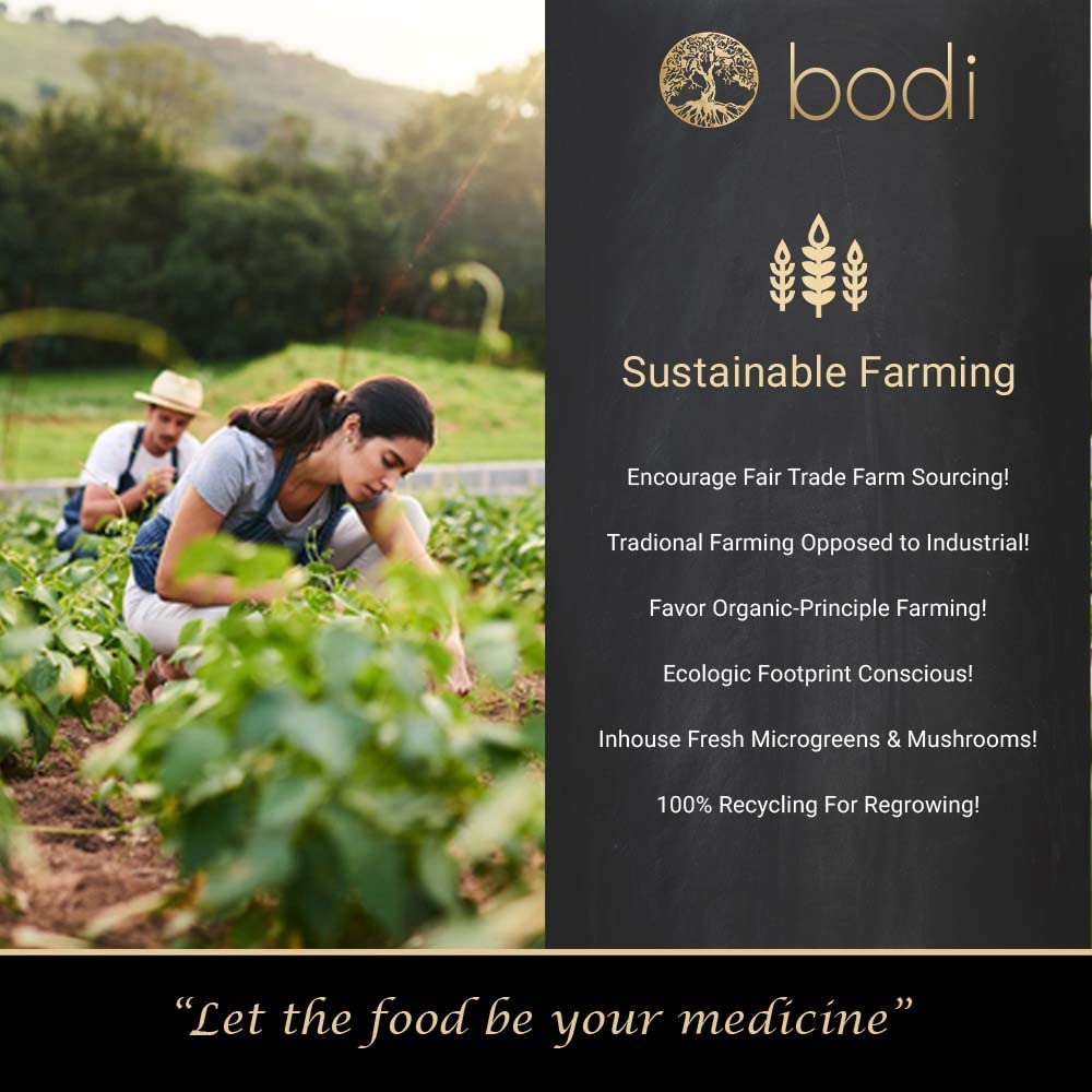 bodi-astragalus-root-10-1-extract-powder-5.jpg