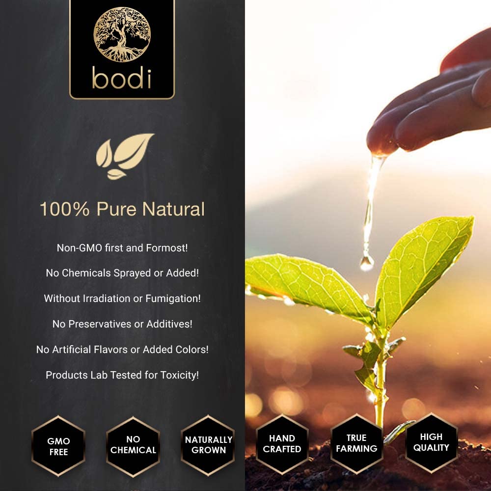 bodi-astragalus-root-10-1-extract-powder-4.jpg