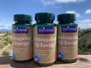 na-trition-astragalus-herbal-tonic-qi-en-5.jpg