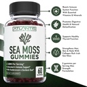 irish-sea-moss-gummies-3000mg-formulated-2.jpg
