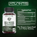 irish-sea-moss-gummies-3000mg-formulated-5.jpg