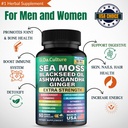 organic-sea-moss-capsules-organic-irish--3.jpg
