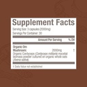 om-mushroom-superfood-cordyceps-mushroom-5.jpg