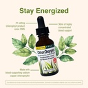 herbs-etc-chloroxygen-chlorophyll-concen-5.jpg