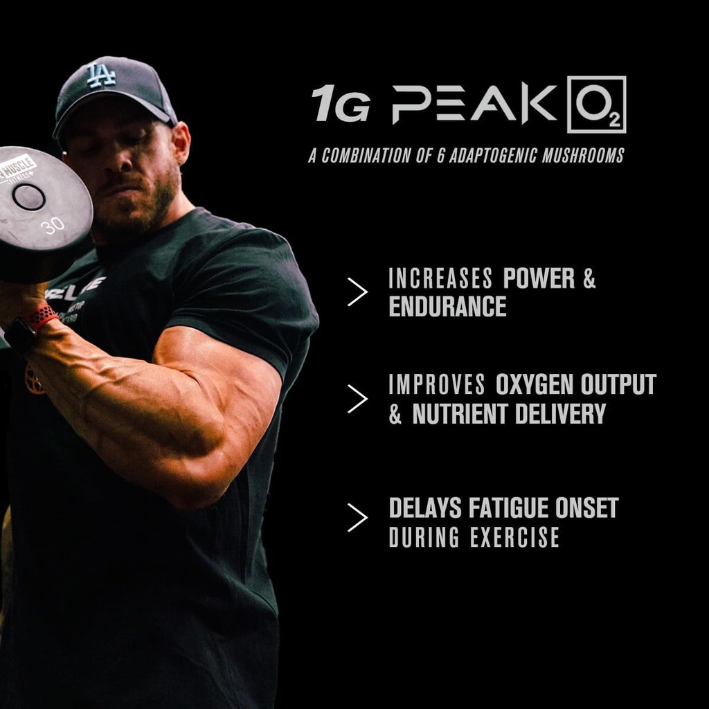 jacked-factory-build-xt-daily-muscle-bui-2.jpg