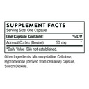 thorne-stress-and-immune-support-bundle--6.jpg