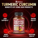 8-in-1-turmeric-curcumin-apple-cider-vin-5.jpg