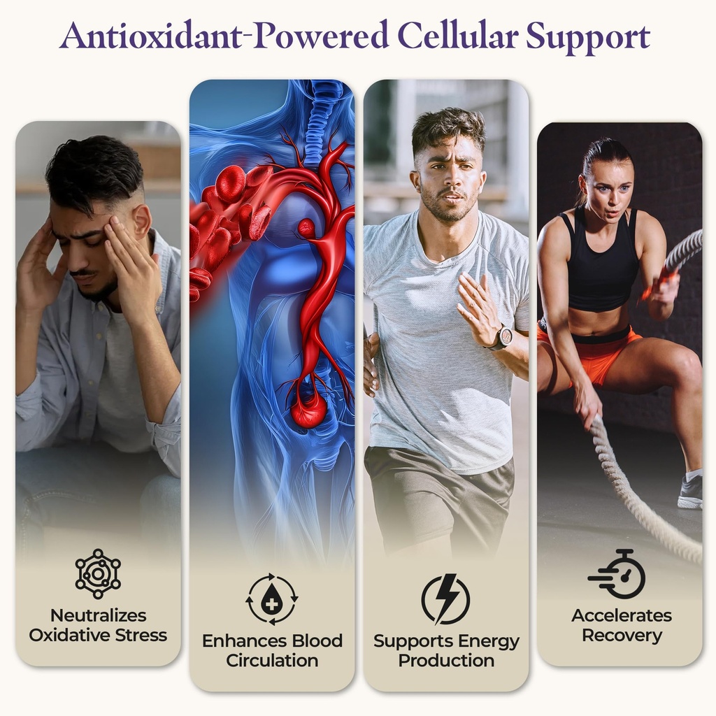 marcapa-boost-black-ginger-cordyceps-cir-5.jpg