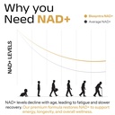 nad-supplement-900mg-nicotinamide-ribosi-4.jpg