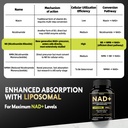 nad-supplement-1800mg-liposomal-nad-nico-3.jpg