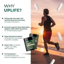 uplife-nad-supplement-1-372mg-liposomal--6.jpg